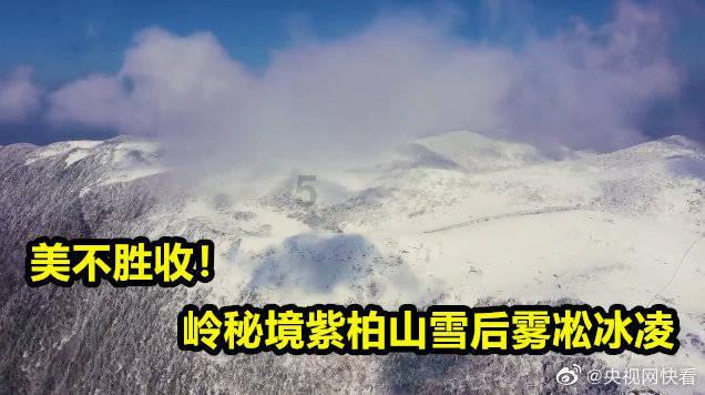 正当防卫