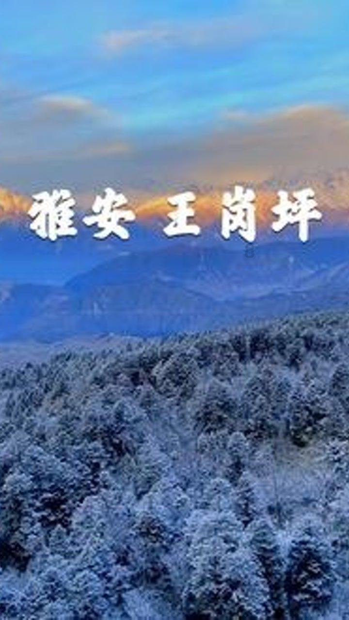 不结盟运动峰会呼吁构建和平公正世界