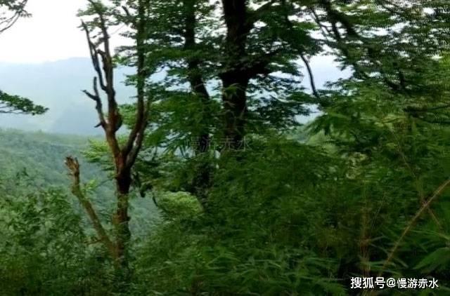 鲜奶运输车找不同
