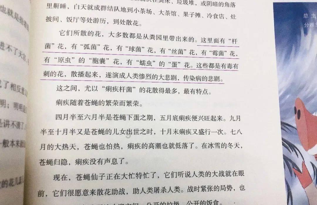 植物大战僵尸19