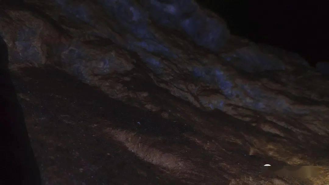 新华全媒+丨川青铁路带火新“高原三宝”