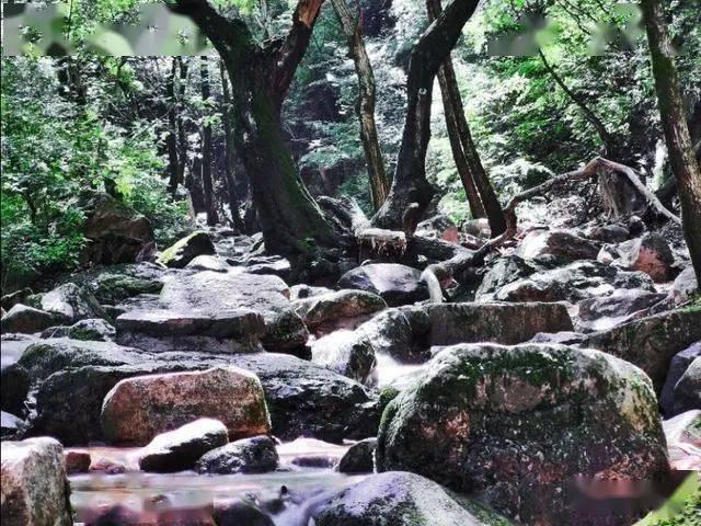 量子破碎