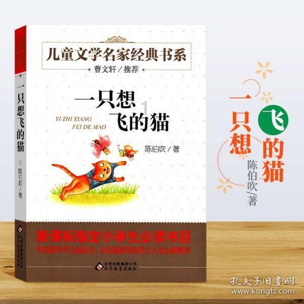 快速扣篮