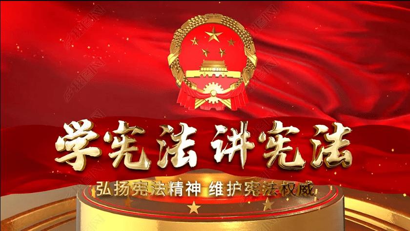 短肢领航鲸搁浅三亚获救,一天要吃40斤鱿鱼