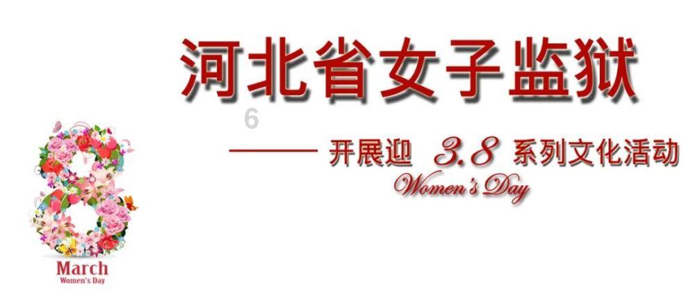 萌犬记忆卡