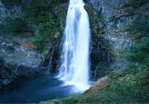 近期气温“大跳水”在田果蔬要保暖