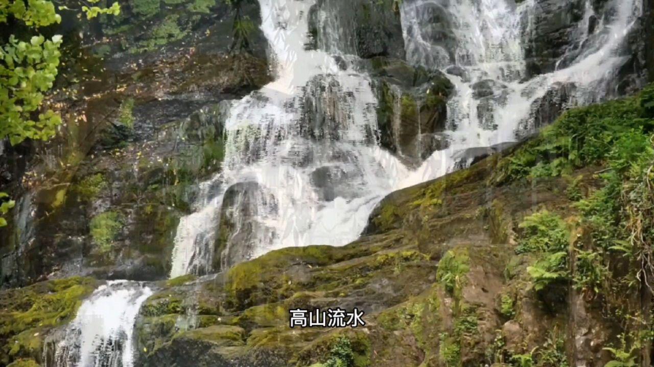 遂宁高新区：国企“混改”添动能 护航西部陆海新通道