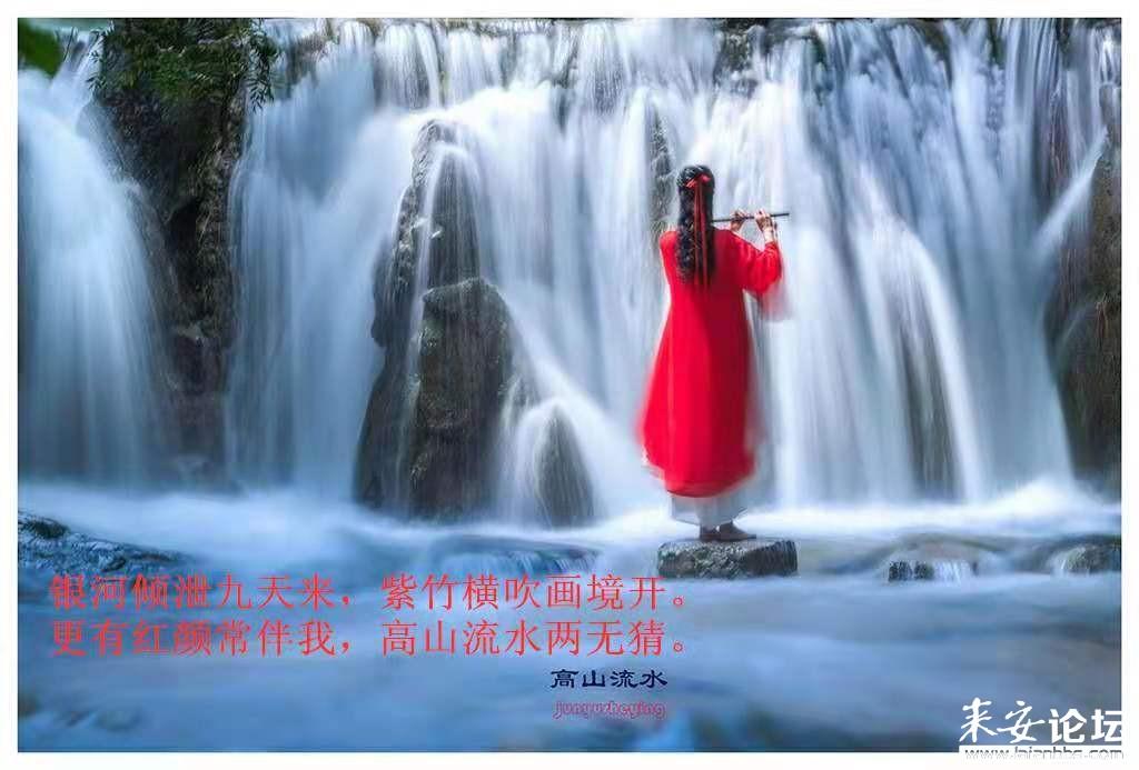 2024中国西部问题车展线索征集