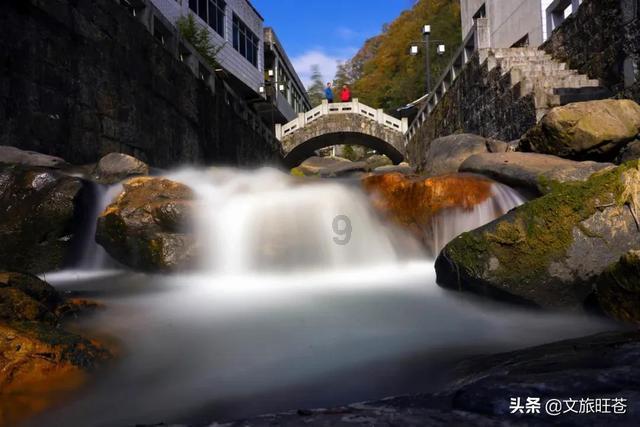“龙腾盛世 · 楹造未来”招商引资推介暨银政企座谈会在莲华街道举办
