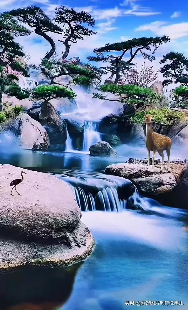 吉娃娃头上的坑代表什么游戏画面