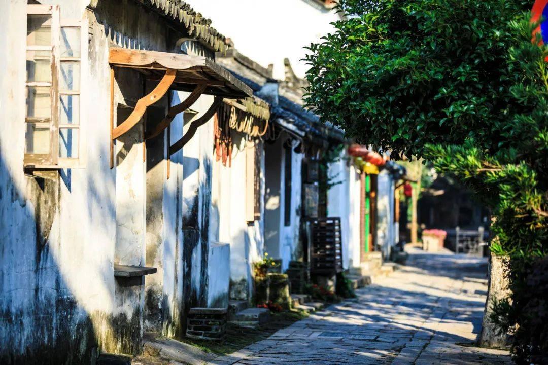 成年和尚鹦鹉还能不能喝鹦鹉奶粉?-知识星球平台,专注分享、学习、成长