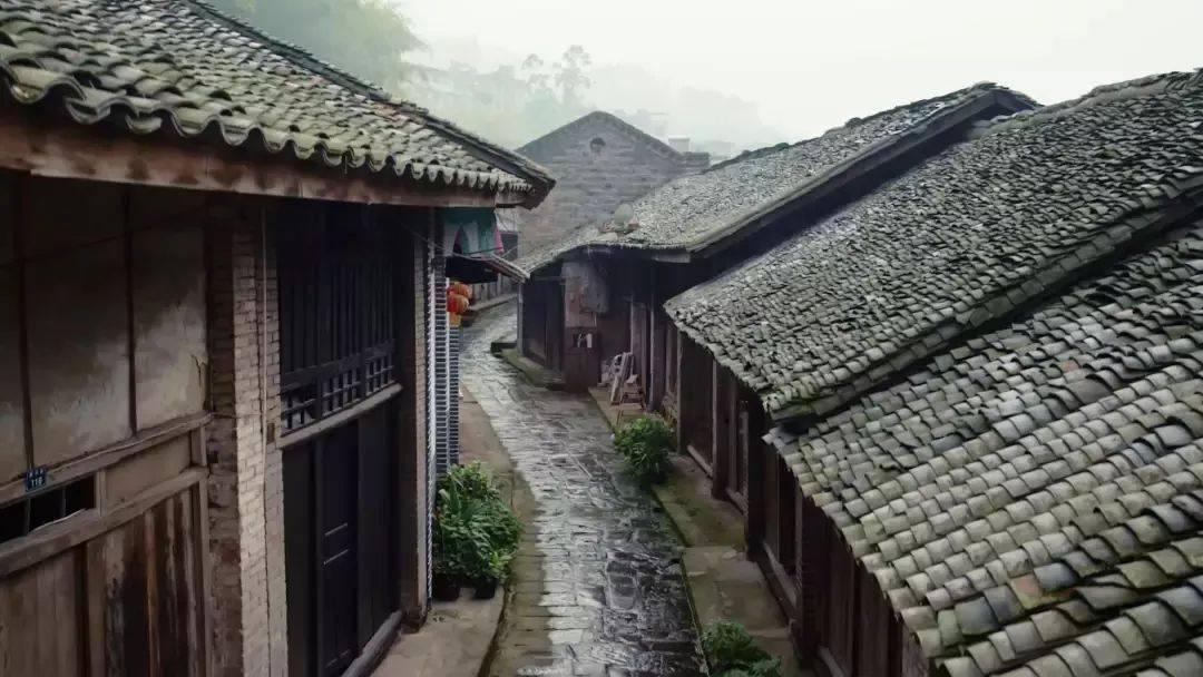 胃癌死亡率仅次于肺癌,少吃3物,少做3事,或能远离胃部病变