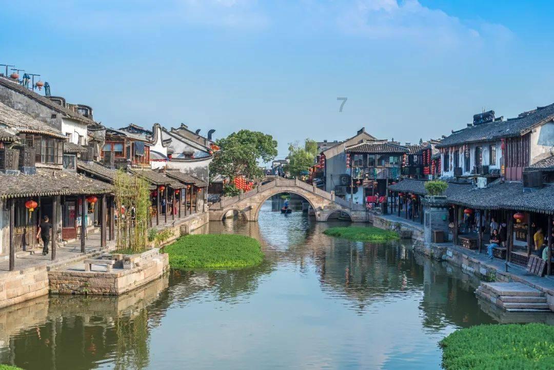 猪肚炖什么好吃又营养又养胃？游戏画面