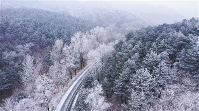 我不想见人我不敢出去玩怎么办？游戏画面